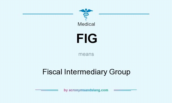 What does FIG mean? It stands for Fiscal Intermediary Group