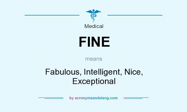 What does FINE mean? It stands for Fabulous, Intelligent, Nice, Exceptional