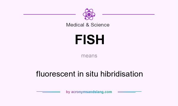 What does FISH mean? It stands for fluorescent in situ hibridisation