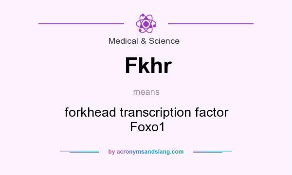 What does Fkhr mean? It stands for forkhead transcription factor Foxo1