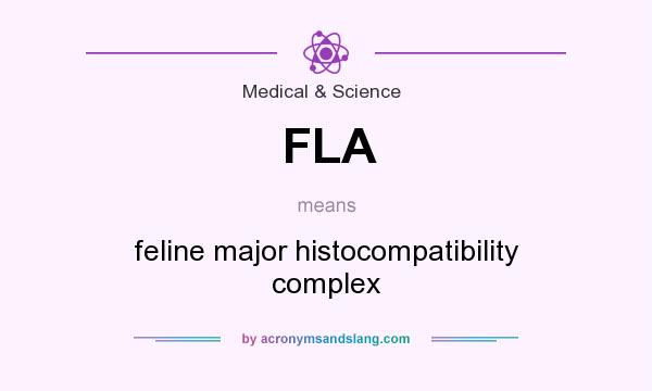 What does FLA mean? It stands for feline major histocompatibility complex