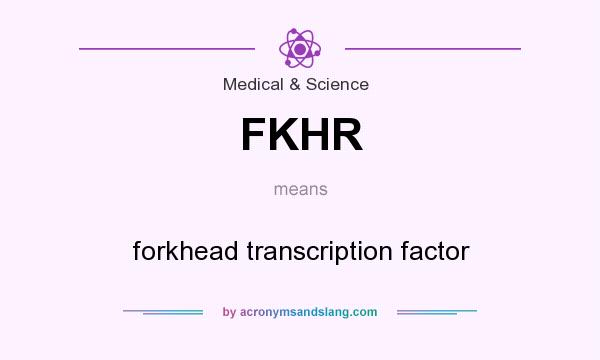 What does FKHR mean? It stands for forkhead transcription factor
