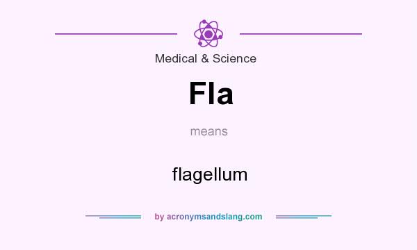 What does Fla mean? It stands for flagellum