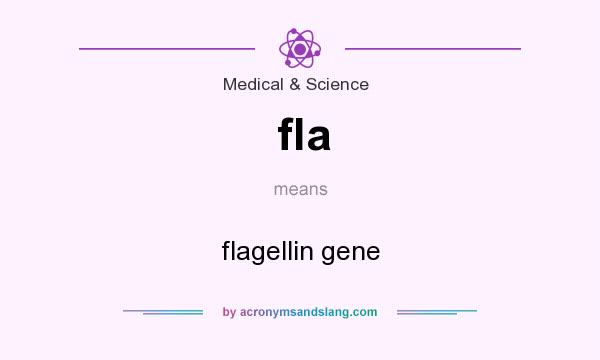 What does fla mean? It stands for flagellin gene