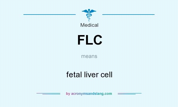 What does FLC mean? It stands for fetal liver cell