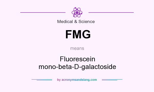 What does FMG mean? It stands for Fluorescein mono-beta-D-galactoside
