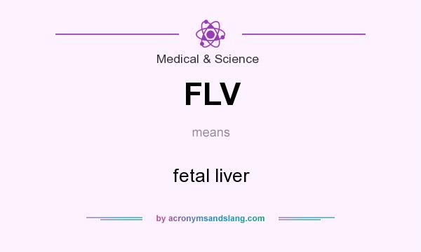 What does FLV mean? It stands for fetal liver