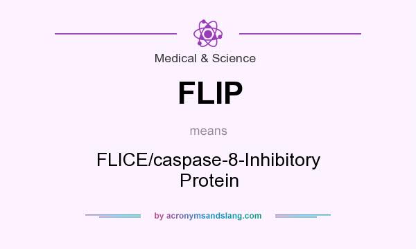What does FLIP mean? It stands for FLICE/caspase-8-Inhibitory Protein
