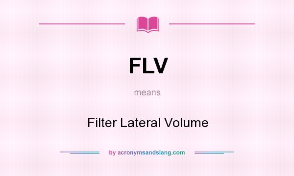 What does FLV mean? It stands for Filter Lateral Volume