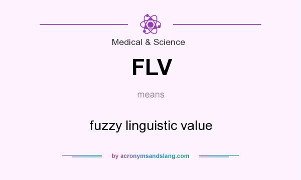 What does FLV mean? It stands for fuzzy linguistic value