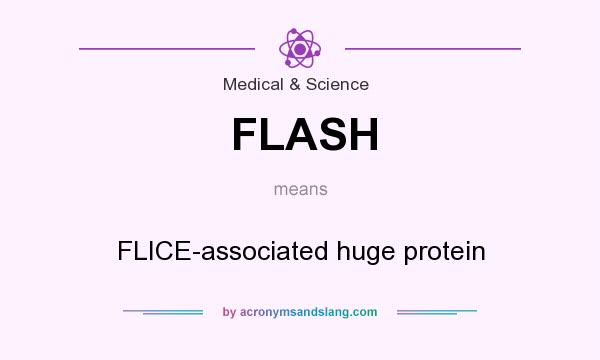 What does FLASH mean? It stands for FLICE-associated huge protein