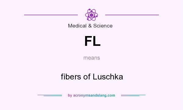 What does FL mean? It stands for fibers of Luschka