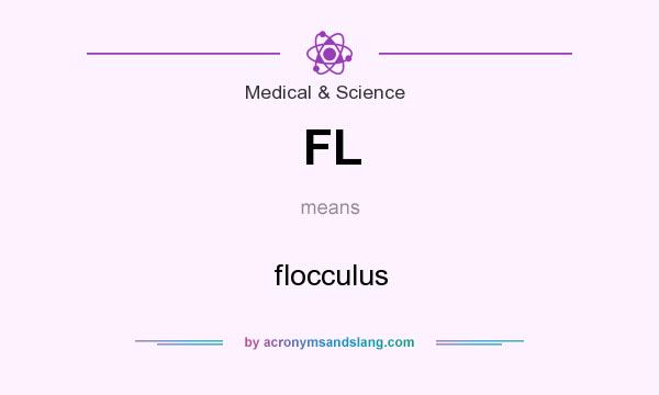 What does FL mean? It stands for flocculus