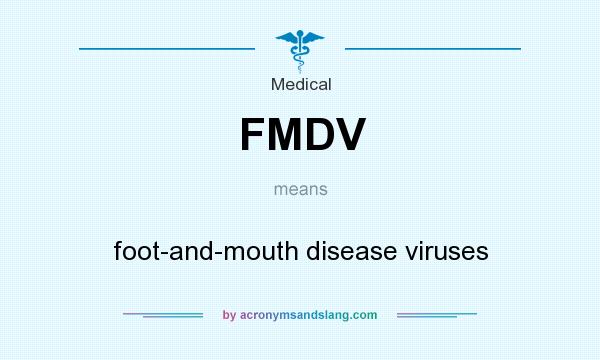 What does FMDV mean? It stands for foot-and-mouth disease viruses