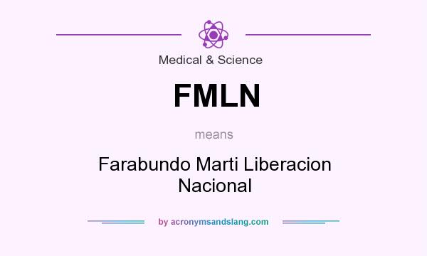 What does FMLN mean? It stands for Farabundo Marti Liberacion Nacional