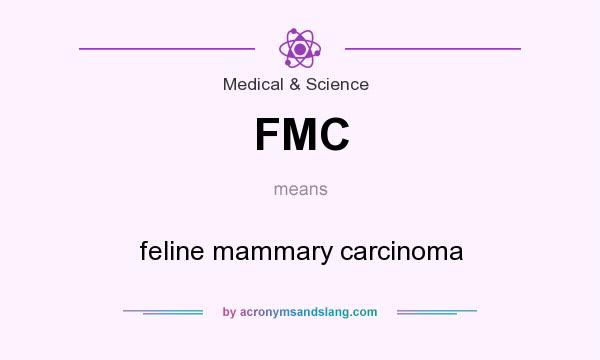 What does FMC mean? It stands for feline mammary carcinoma