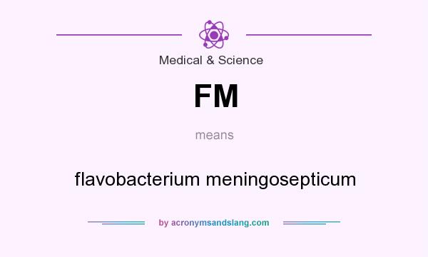 What does FM mean? It stands for flavobacterium meningosepticum