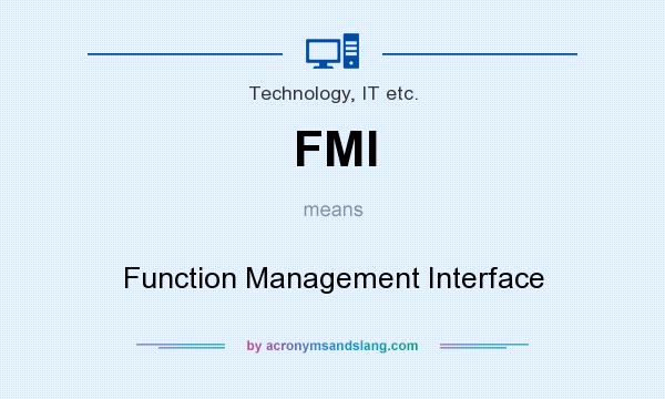 What does FMI mean? It stands for Function Management Interface