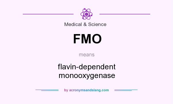 What does FMO mean? It stands for flavin-dependent monooxygenase