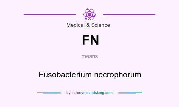 What does FN mean? It stands for Fusobacterium necrophorum