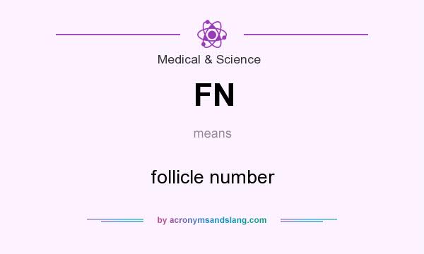 What does FN mean? It stands for follicle number