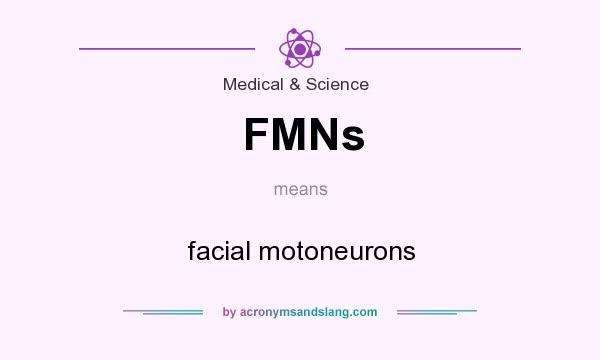 What does FMNs mean? It stands for facial motoneurons