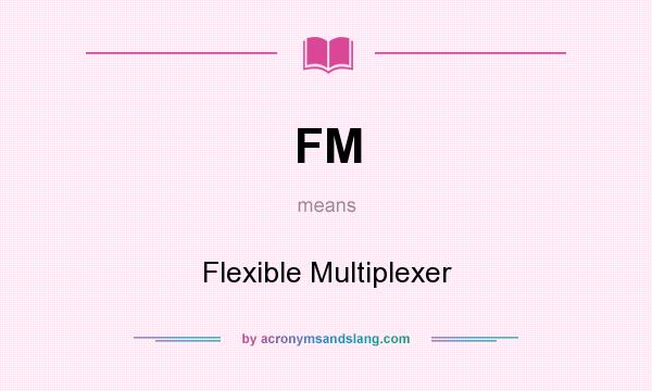 What does FM mean? It stands for Flexible Multiplexer
