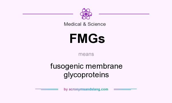 What does FMGs mean? It stands for fusogenic membrane glycoproteins
