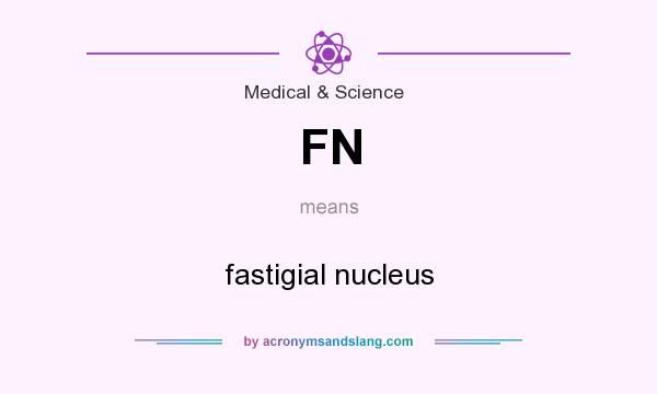 What does FN mean? It stands for fastigial nucleus