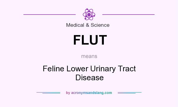 What does FLUT mean? It stands for Feline Lower Urinary Tract Disease