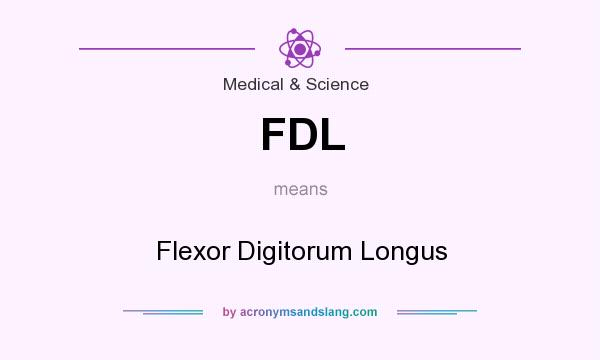 What does FDL mean? It stands for Flexor Digitorum Longus