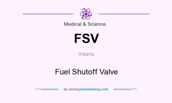 What does FSV mean? It stands for Fuel Shutoff Valve