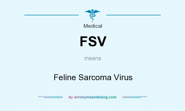 What does FSV mean? It stands for Feline Sarcoma Virus