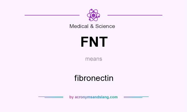 What does FNT mean? It stands for fibronectin