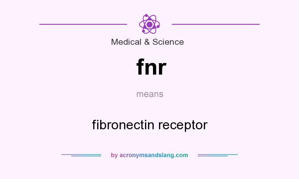 What does fnr mean? It stands for fibronectin receptor