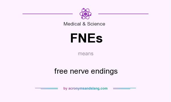 What does FNEs mean? It stands for free nerve endings