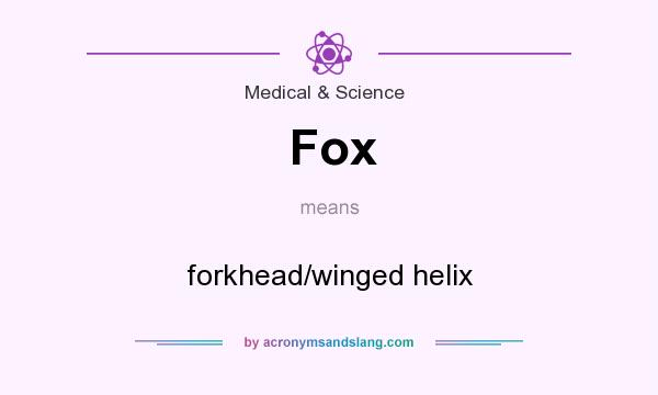 What does Fox mean? It stands for forkhead/winged helix