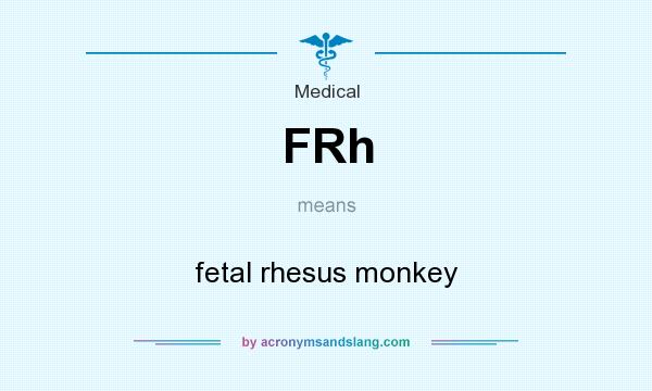 What does FRh mean? It stands for fetal rhesus monkey