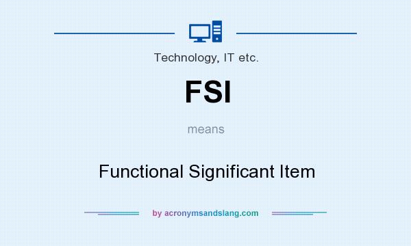 What does FSI mean? It stands for Functional Significant Item