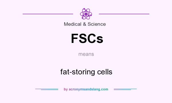 What does FSCs mean? It stands for fat-storing cells