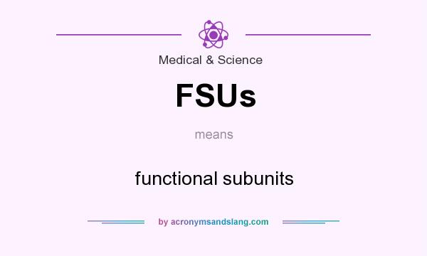 What does FSUs mean? It stands for functional subunits