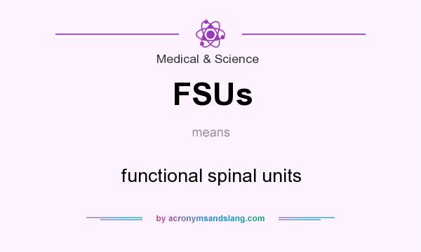 What does FSUs mean? It stands for functional spinal units