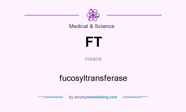 What does FT mean? It stands for fucosyltransferase
