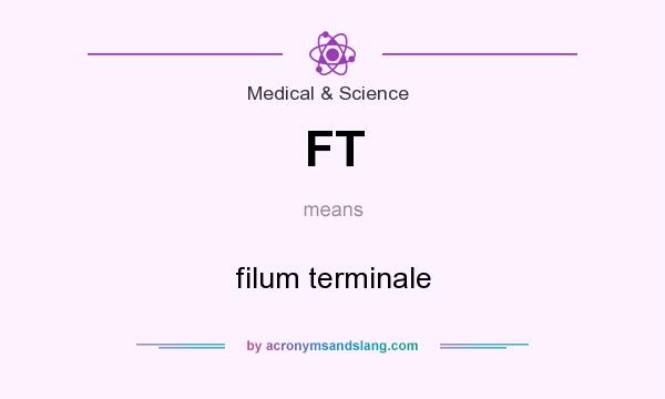 What does FT mean? It stands for filum terminale