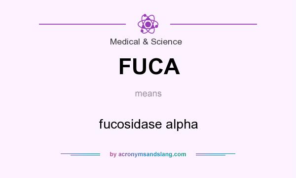 What does FUCA mean? It stands for fucosidase alpha