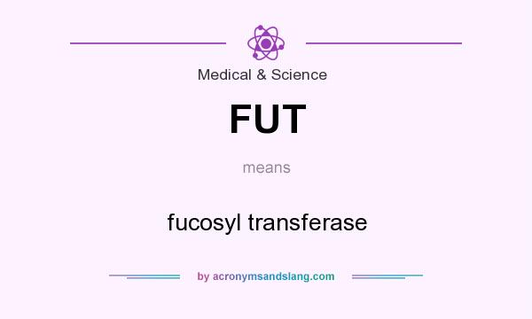 What does FUT mean? It stands for fucosyl transferase