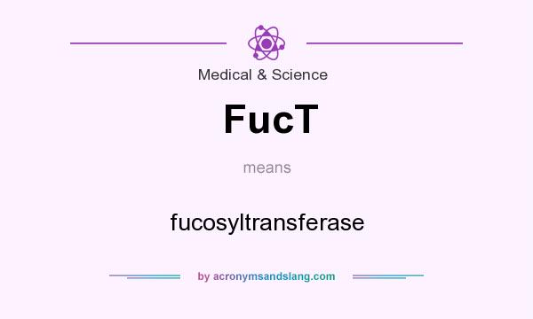 What does FucT mean? It stands for fucosyltransferase