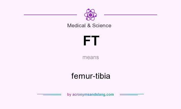What does FT mean? It stands for femur-tibia