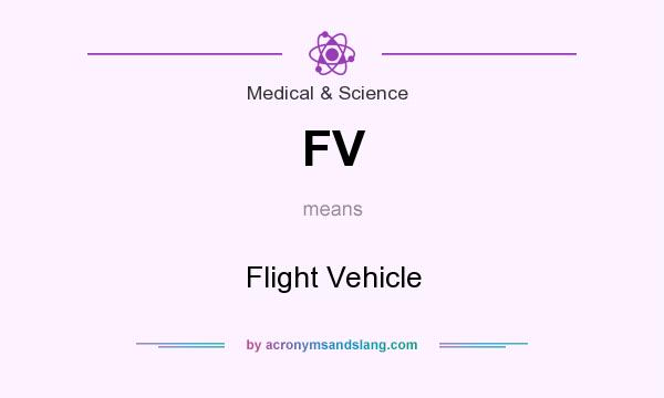 What does FV mean? It stands for Flight Vehicle