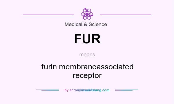 What does FUR mean? It stands for furin membraneassociated receptor